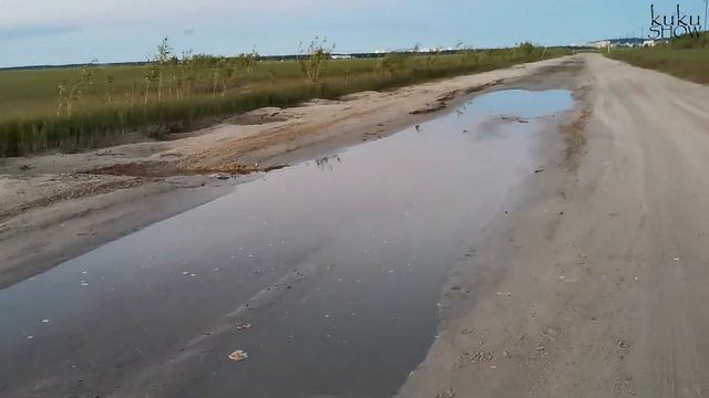 Не прошли мимо!!! Спасение маленьких щук из лужи...