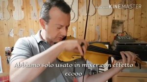 Violino elettrico di liuteria,silent violin luthier,Liutaio Gabrieli Rubino violin maker