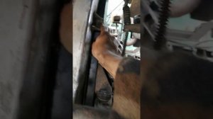 Установка радиатор Shacman на МАЗ, часть. 2