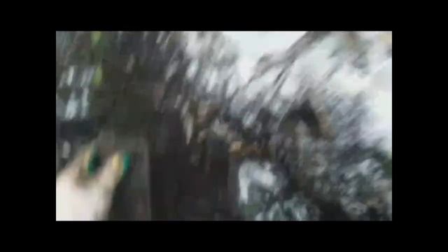 Суровый металло коп декабрь 2021! 3 дня за металлом. Рельсы радуют! ))) смотреть онлайн