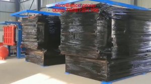 Линия по производству поддонов для семян из пенополистирола,