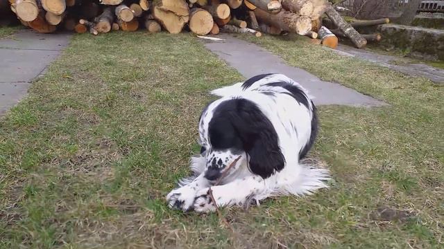 Садовод любитель...))) смотреть онлайн