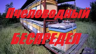 Пчеловоды беспредельщики.