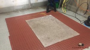 How to clean shaggy rug. Химчистка ковра с длинным ворсом. Весь процесс. by CARPETLAB Latvia