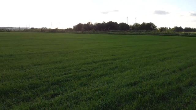 Урбанизм в Мурино