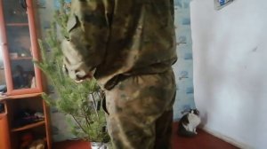 Привезли ёлку, нарядили  ?Приезжали гости Маша и Вася? Из города в деревню ?