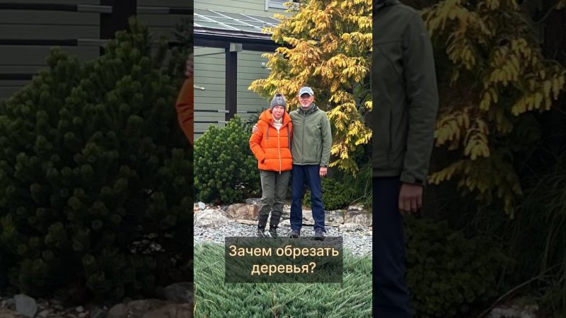 Зачем обрезать деревья? #бонсай #bonsai #ниваки #сад #андрейдарусенков #марияниконова