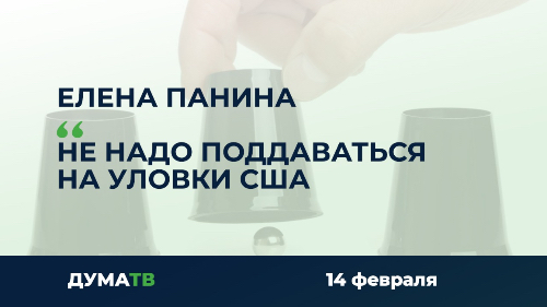 Елена Панина: Не надо поддаваться на уловки США