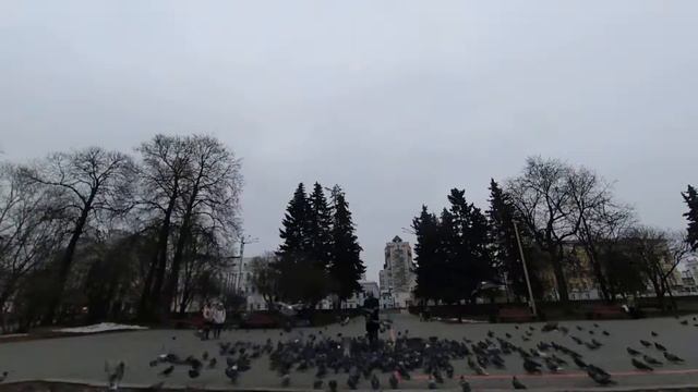 DIY АРМИЯ из голубей смотреть онлайн