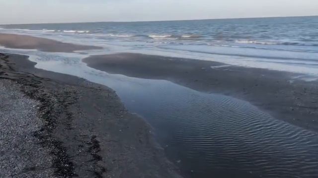 Лучшая тушь?/покупки косметики/море смотреть онлайн