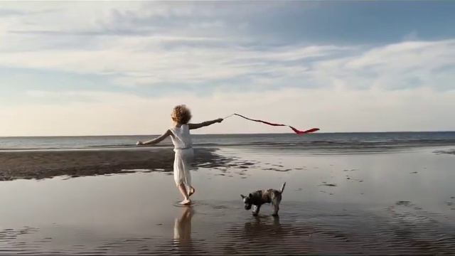 Щенки керн терьера (питомник БРЭНД ЛАЙФ ХАУС, филиал в г.Северодвинск) смотреть онлайн