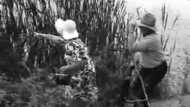 Шумел камыш смотреть онлайн