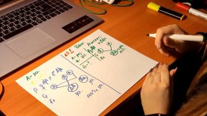 1 закон Менделя, как легко понять и разобраться, группы крови и задачи, ЗНО по биологии 2021)