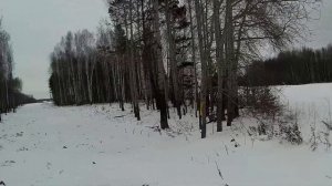 Как не следует тропить зайца. Охота на зайца беляка