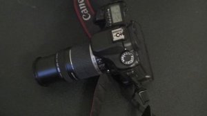 Canon 55-250mm Lens Review