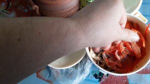 Салат с ГРИБАМИ , БОЛГАРСКИМ ПЕРЦЕМ И ПОМИДОРАМИ . Быстрый рецепт.