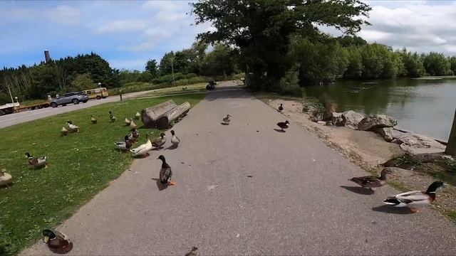 Can I Ride An E-SCOOTER From LONDON To PARIS? смотреть онлайн