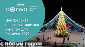 Центральная ель со светящимся куполом для Заинска, 2022