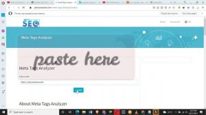 Meta Tags Analyzer