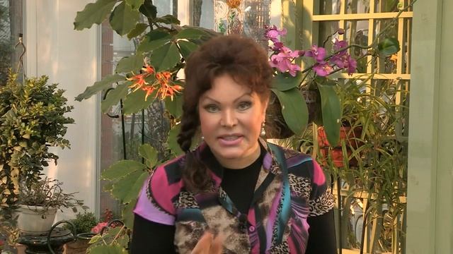 Хранение капусты смотреть онлайн