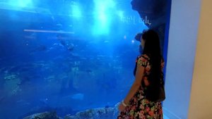 Дубай в феврале. День Рождения отмечаем здесь! Почему?