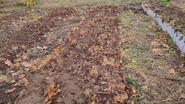 Органический Огород Подготовлен к Зимовке