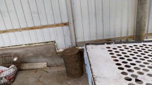 Стол для калибровки чеснока. И кратко о результатах сушки чеснока.