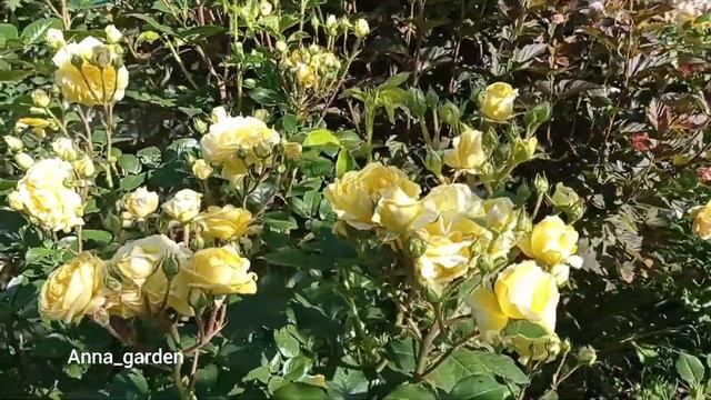 Anny Duperey (MEItongas, Yellow Meilove ) аннИ дюперЁйФранция, 2006Шры смотреть онлайн