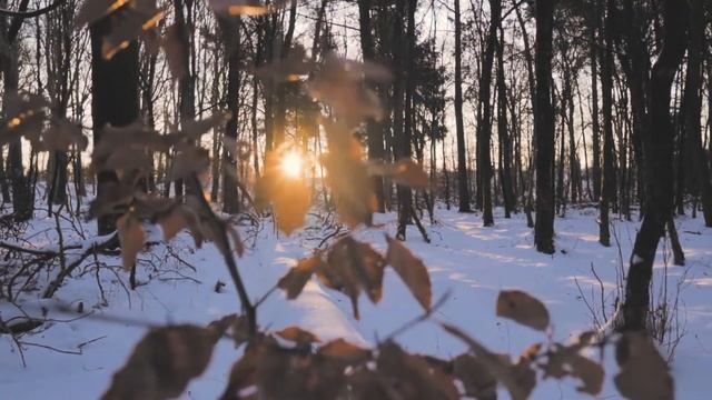 Крещенский сочельник: что можно и нельзя делать 18 января/Крещение, Святое Богоявление