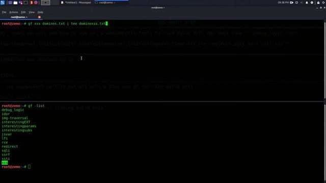 Bug Bounty(finding urls for bug-bounty): Step-1 смотреть онлайн