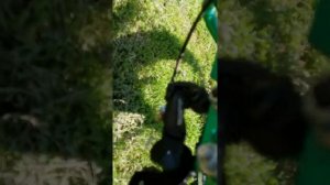 Взрослый 3х колесный велосипед Stels Energy