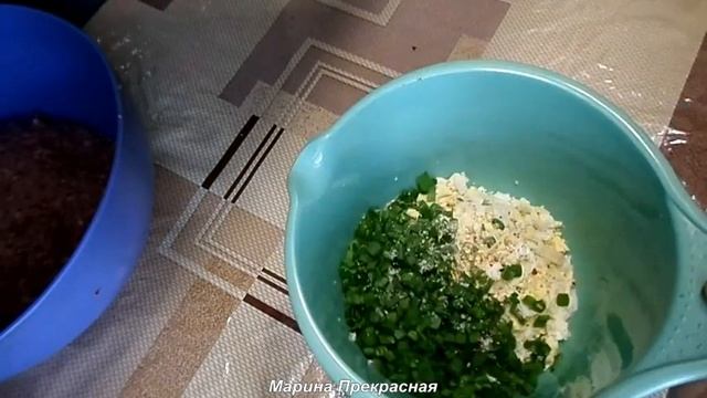 МЯСНЫЕ ЗРАЗЫ С ЗЕЛЕНЫМ ЛУКОМ И ЯЙЦОМ