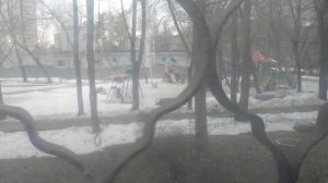 Птицу емъ ► Я люблю людей