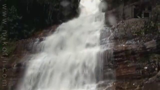 Freshwater Natural Aquarium Documentary