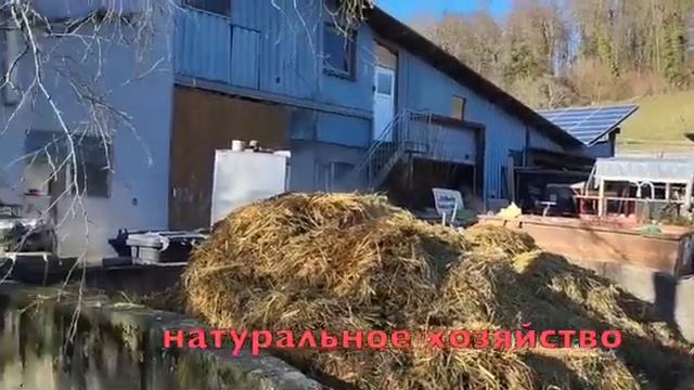 Молоко ,кому молока?/Едем к фермерам за  молоком/Позитив от животных