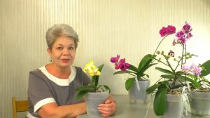 Почему Орхидеи засушивают и сбрасывают БУТОНЫ зимой ???  ГОРМОНЫ, МУТАЦИИ, ПЕЛОРИКИ.  Мой ОПЫТ...