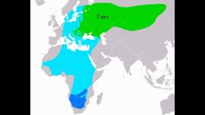 День 1. Тема 2. Ареал. Экологическая ниша.