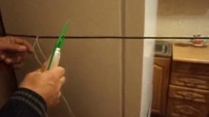 посадка сети одностенки