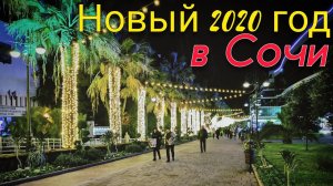 Новый год в Сочи.