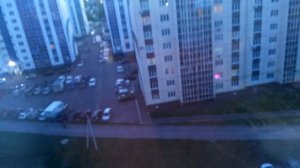 майские жуки атакуют!!! ( уже выпустил.)