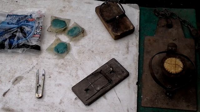 Борьба с земляной крысой в курятнике. смотреть онлайн