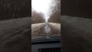 Село Печины Шацкий район