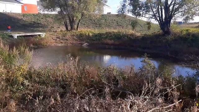 Рязанская Норвегия или Рыбацкая деревня. Новое ИНСТАГРАМНОЕ место и достопримечательность в Рязани. смотреть онлайн