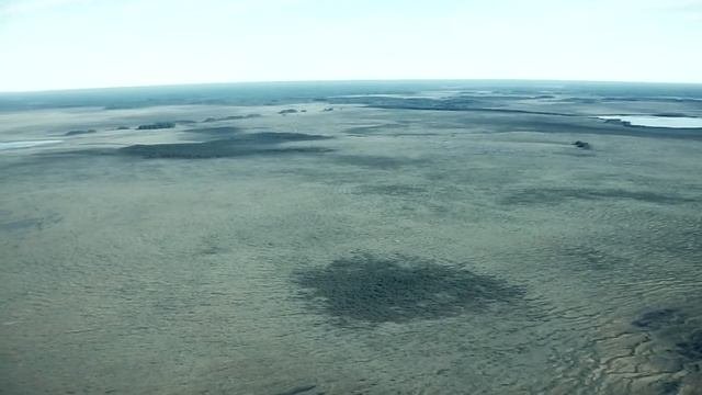 Инфернальные болота Новгородской области