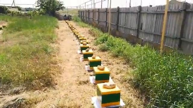 Облетник Карники. смотреть онлайн