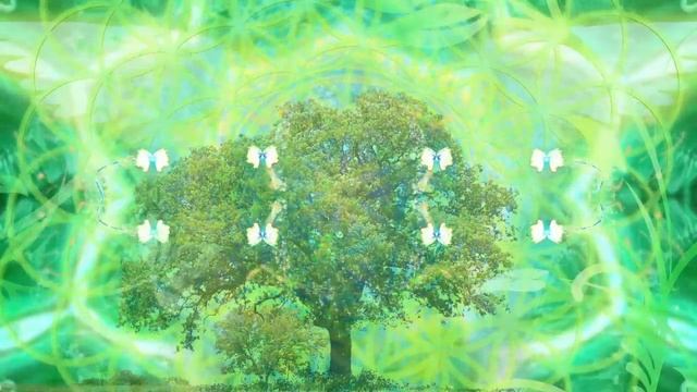 Сонастройка с энергиями гармонизации и исцеления смотреть онлайн