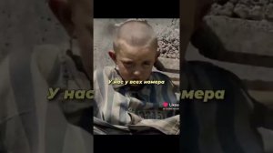 Мальчик в полосатой пижаме продолжение
