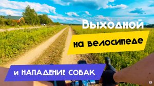 Летний Выходной на велосипеде, веломаршрут подмосковья / Нападение собак /  Как построить  маршрут