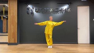 Комплекс Мавандуй Дао Инь Шу