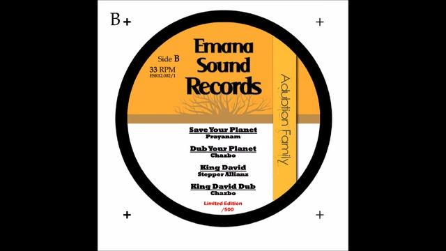 Stepper Allianz - King David (Part dub Chazbo) смотреть онлайн